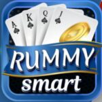 smart11 app logo