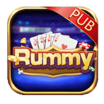 Rummy Pub Icon