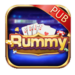 Rummy Pub App || Bonus 49₹ || रम्मी पब ऐप || Withdrawal 100₹