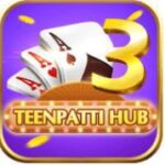hub tp 1